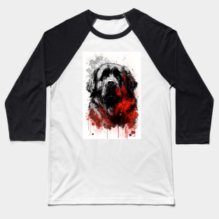 Newfoundland Dog Portrait Baseball T-Shirt